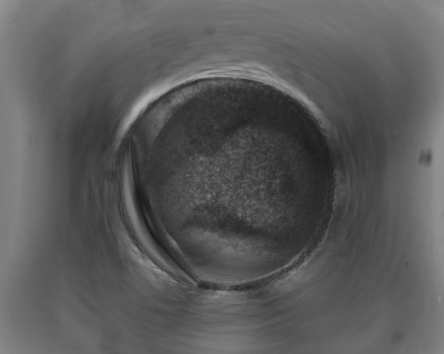 X0000090731506200707271352