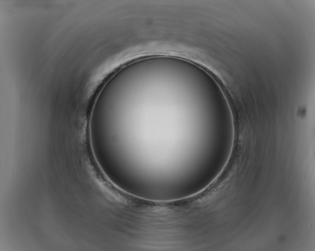 X0000090731507200707271352