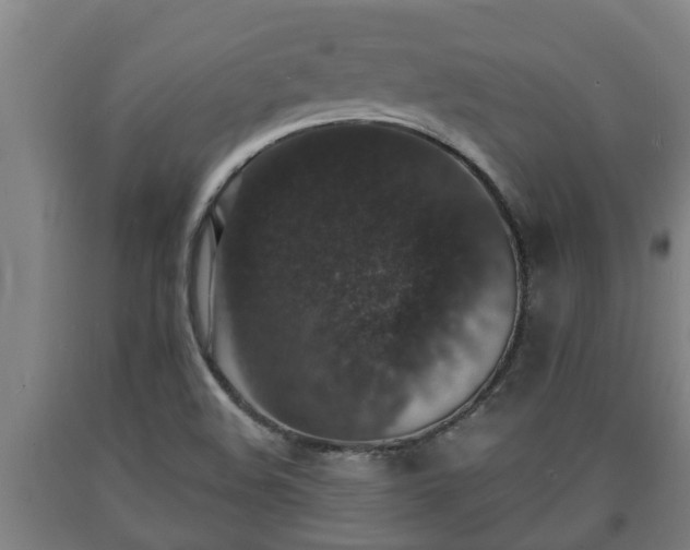 X0000090731508200707271352