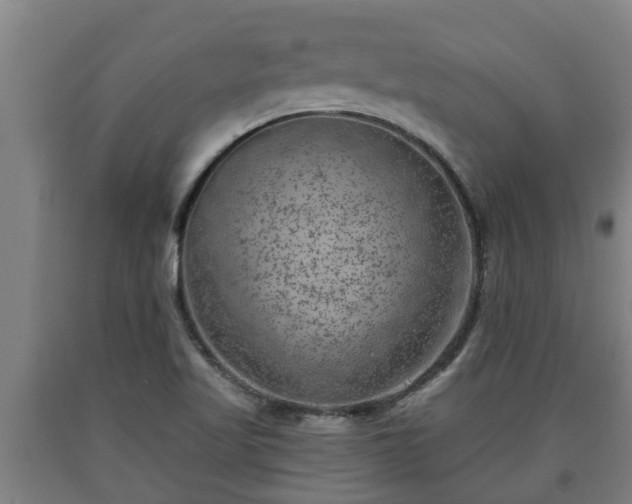 X0000090731509200707271352