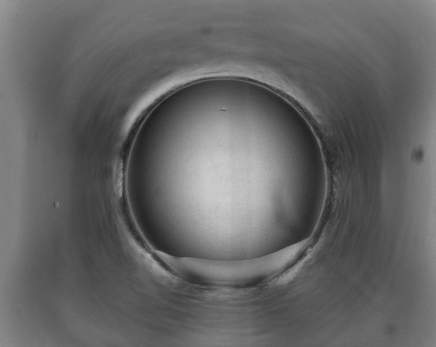 X0000090731510200707271352