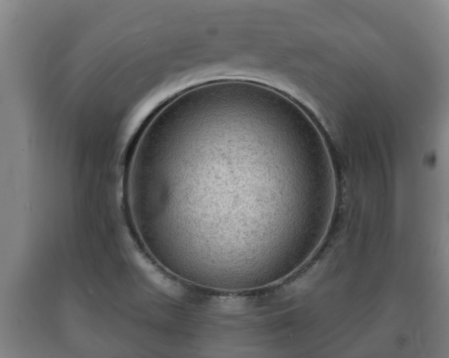 X0000090731511200707271352
