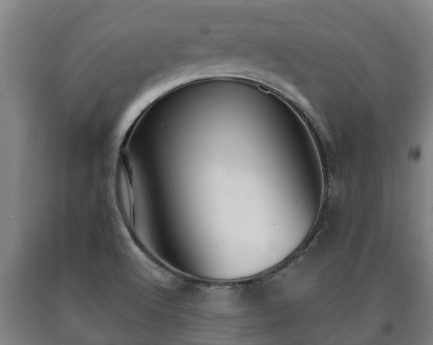 X0000090731512200707271352