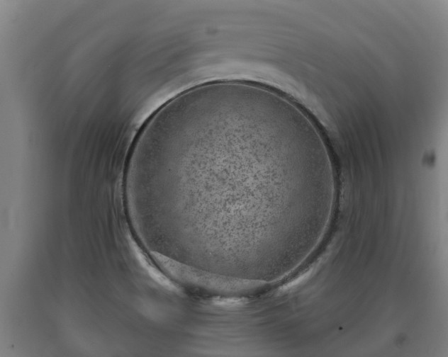 X0000090731513200707271352