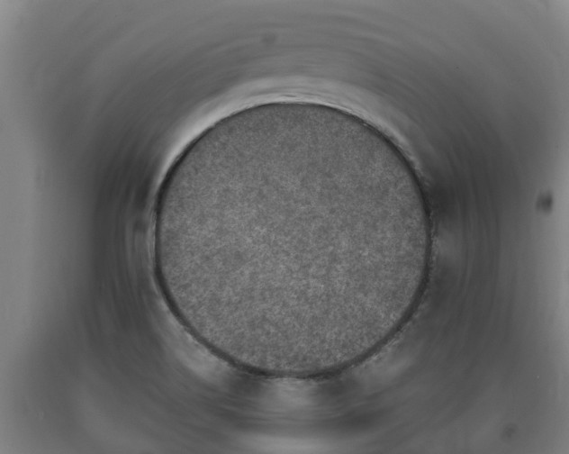 X0000090731514200707271352