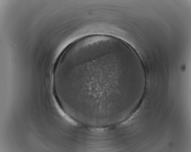X0000090731515200707271352