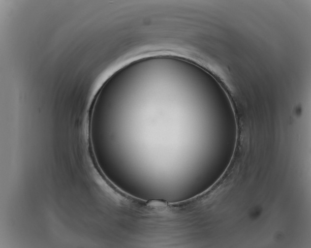 X0000090731516200707271352