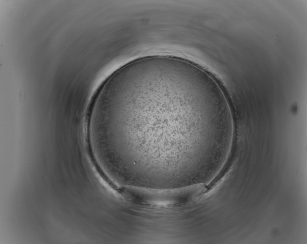 X0000090731517200707271352