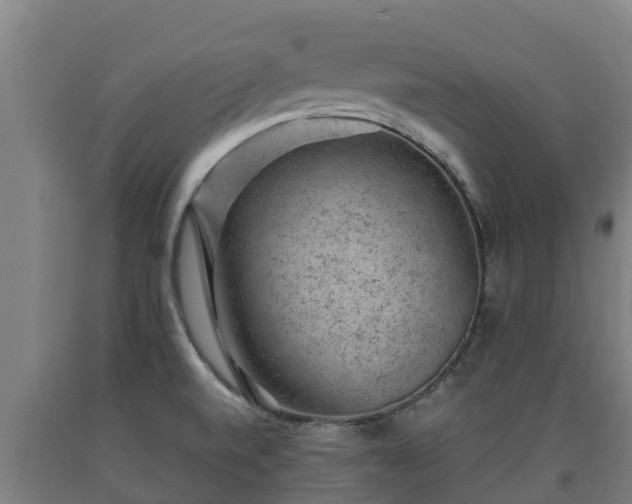 X0000090731520200707271352