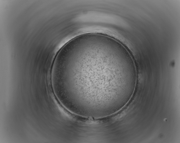 X0000090731521200707271352
