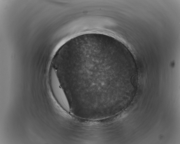 X0000090731522200707271352
