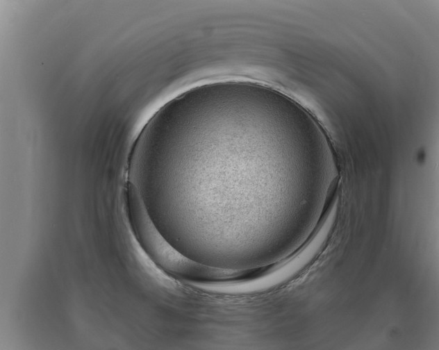 X0000090731524200707271352
