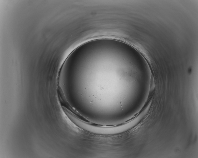 X0000090731532200707271352