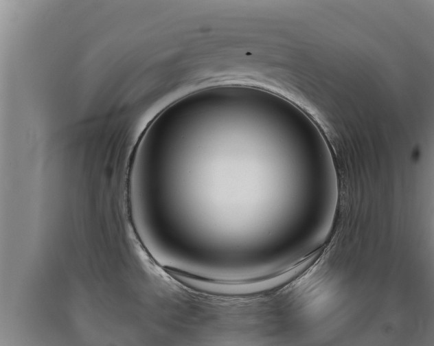 X0000090731534200707271352