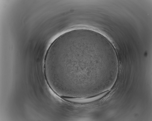X0000090731535200707271352