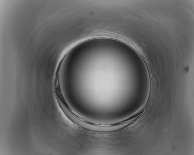 X0000090731536200707271352