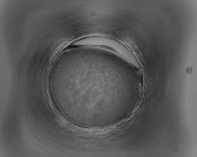 X0000090730001200708031534