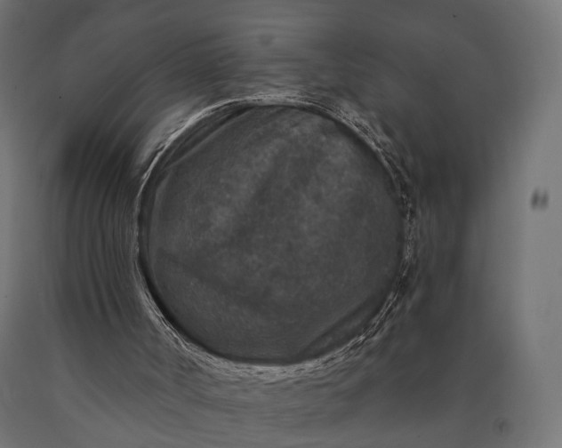 X0000090730002200708031534