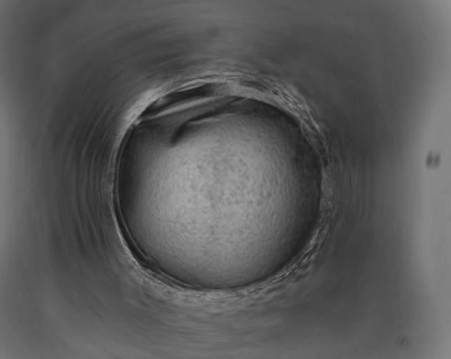 X0000090730003200708031534