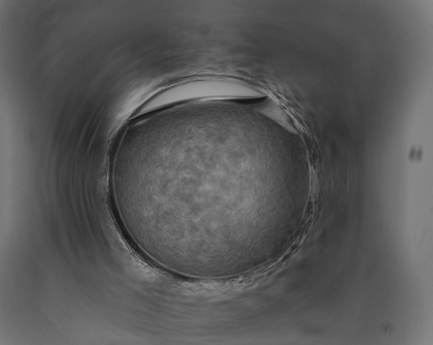 X0000090730005200708031534