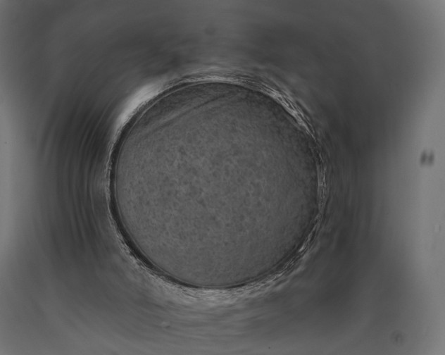 X0000090730006200708031534