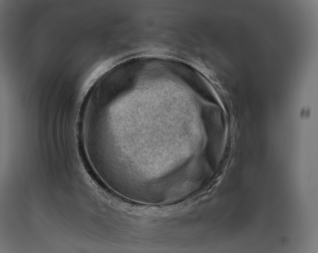 X0000090730007200708031534