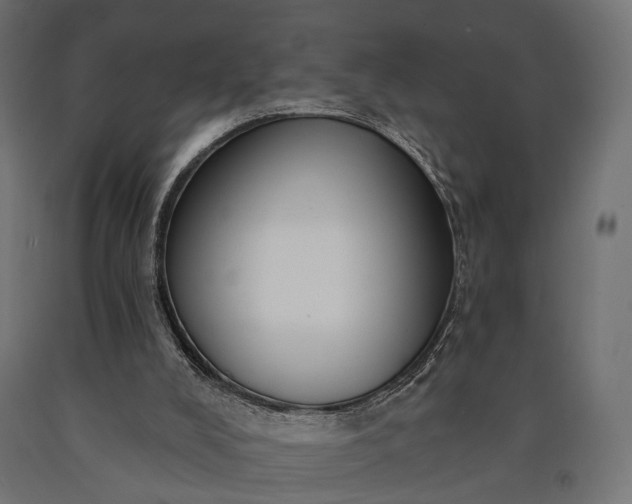 X0000090730008200708031534