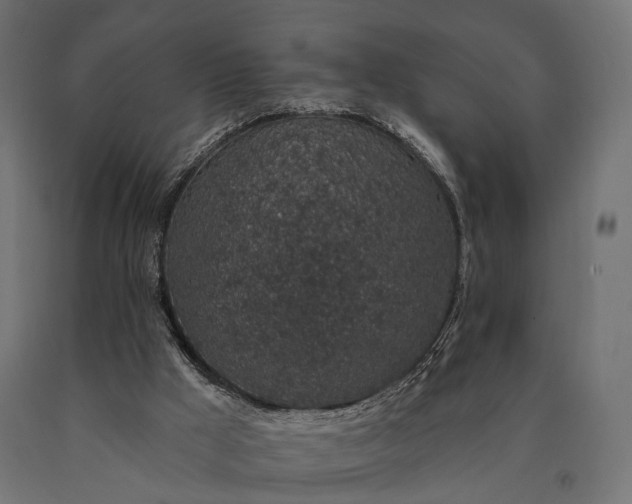 X0000090730009200708031534