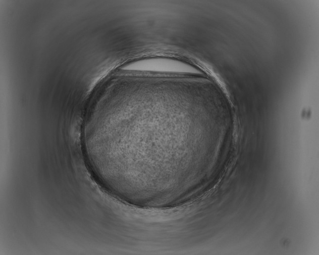 X0000090730010200708031534