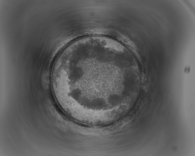 X0000090730012200708031534