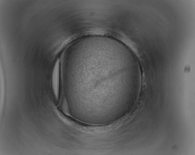 X0000090730013200708031534