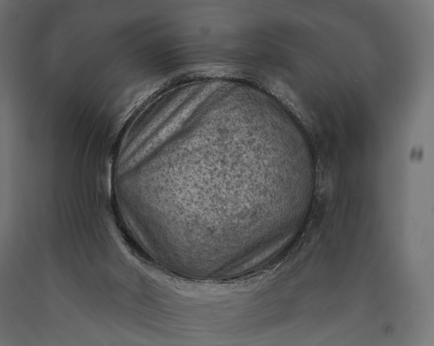 X0000090730014200708031534