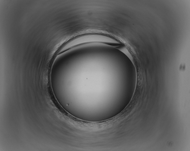 X0000090730015200708031534