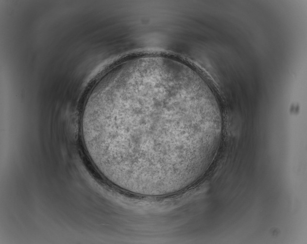 X0000090730016200708031534