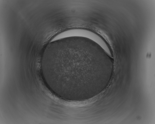 X0000090730017200708031534