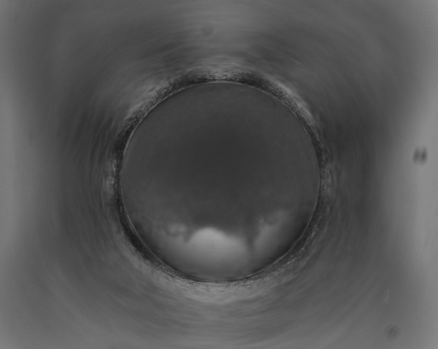 X0000090730018200708031534