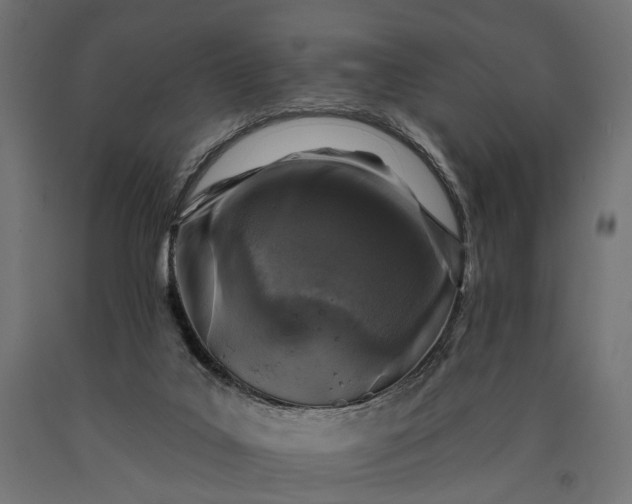 X0000090730019200708031534