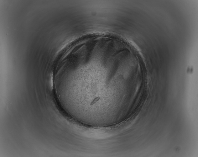 X0000090730020200708031534