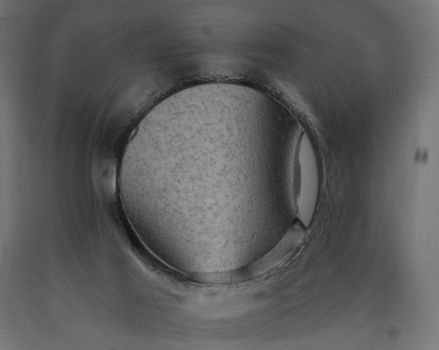 X0000090730021200708031534