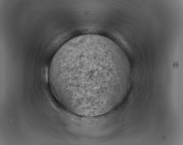 X0000090730022200708031534