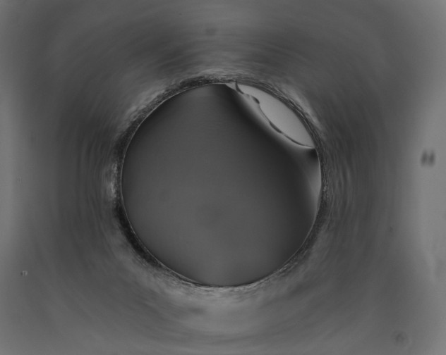 X0000090730023200708031534