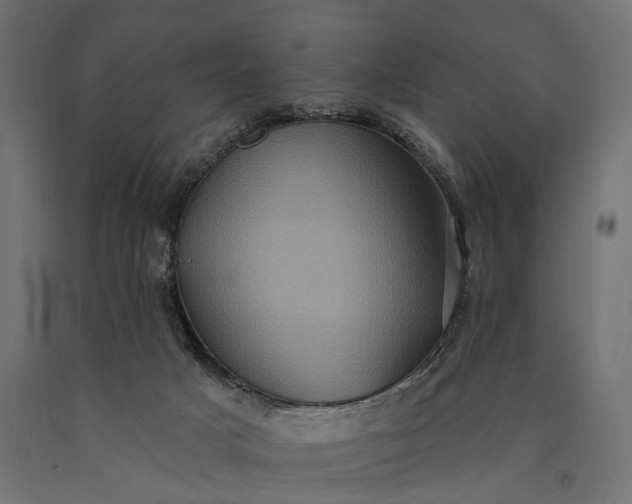 X0000090730025200708031534