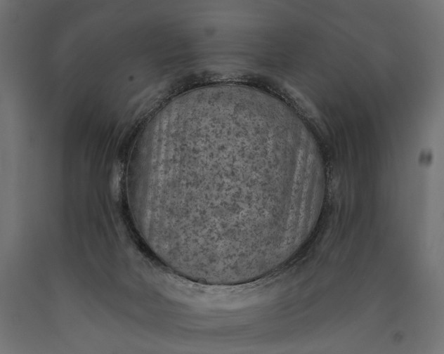 X0000090730026200708031534