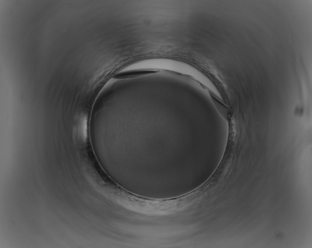 X0000090730027200708031534