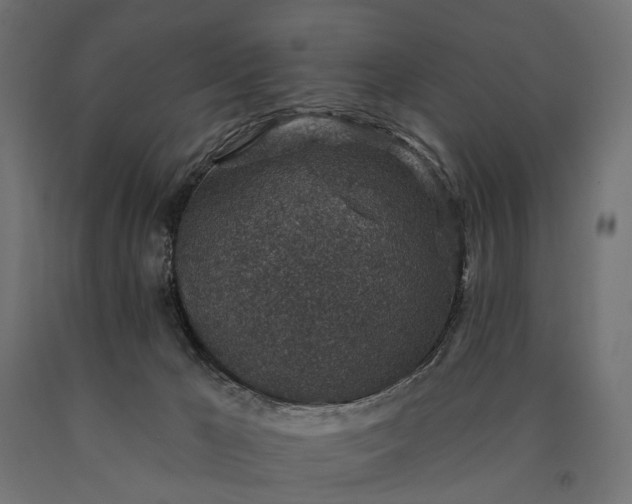 X0000090730029200708031534