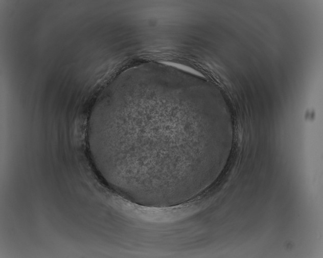 X0000090730030200708031534