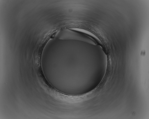 X0000090730031200708031534