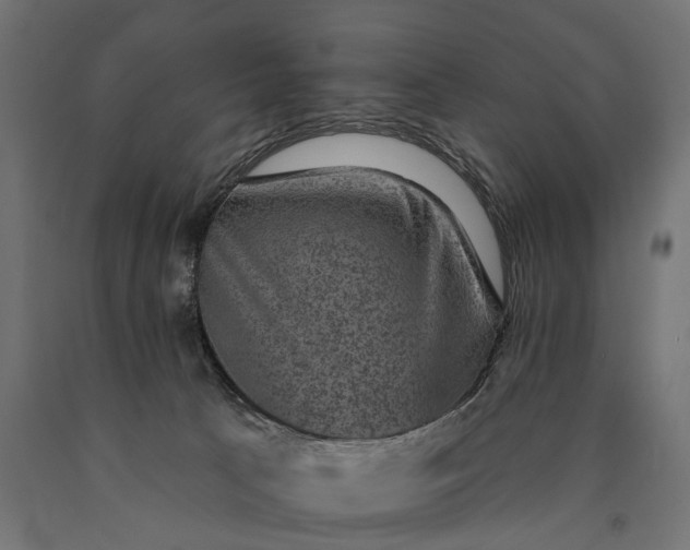 X0000090730033200708031534