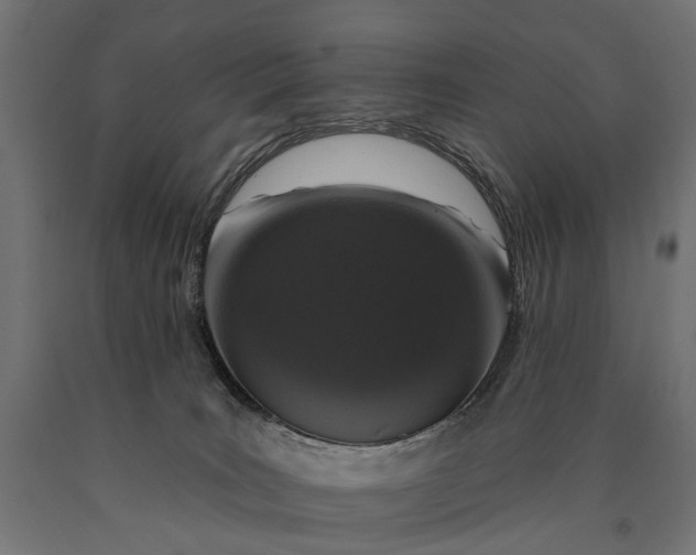 X0000090730035200708031533