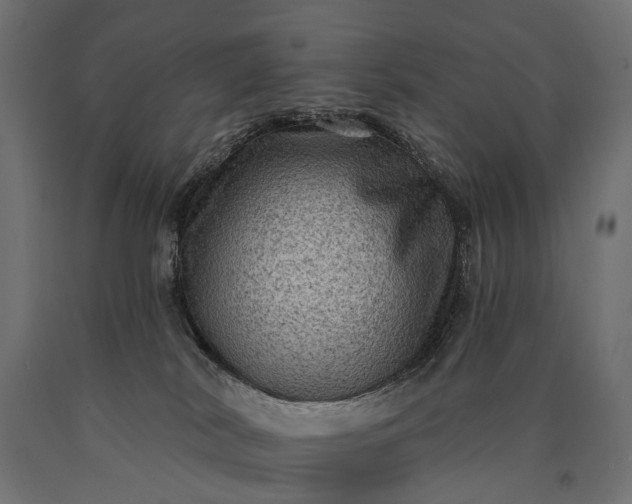 X0000090730038200708031533